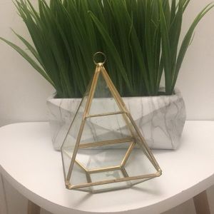 Small Gold Plant Teranium